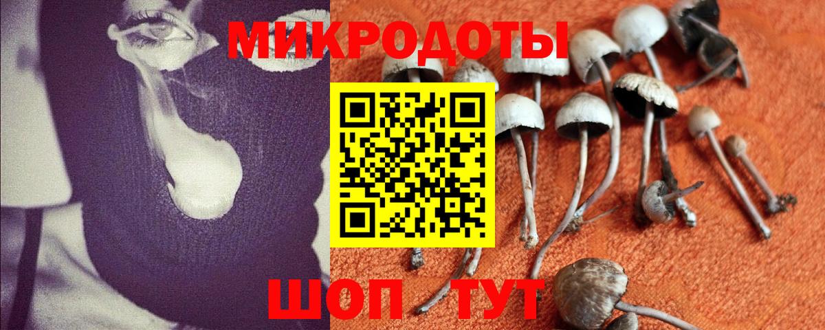 Галлюциногенные грибы мухоморы  Вход с VPN  Искитим 