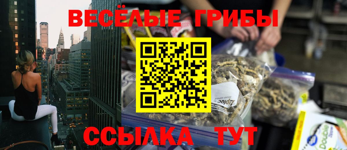 Псилоцибиновые грибы MAGIC MUSHROOMS Искитим